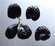  Seeds